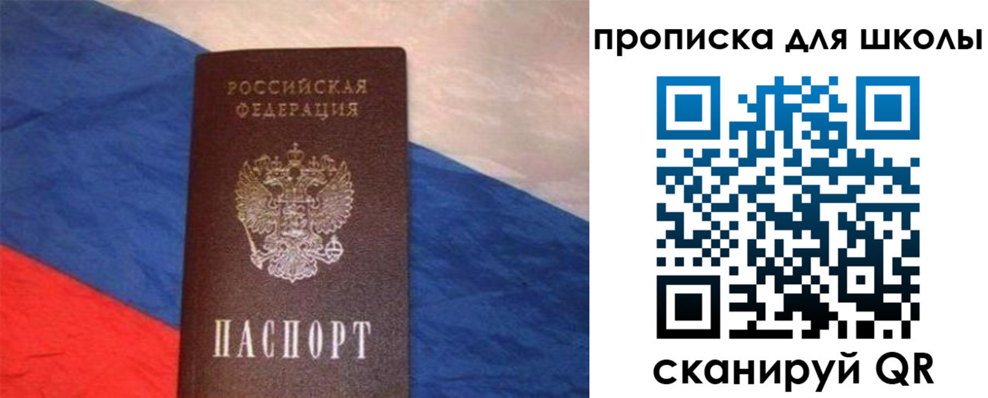прописка поиск в Химках